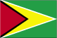 Guyana Flag