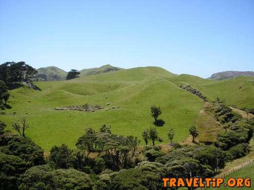 New Zealand - Nelson - Wharariki beach - 