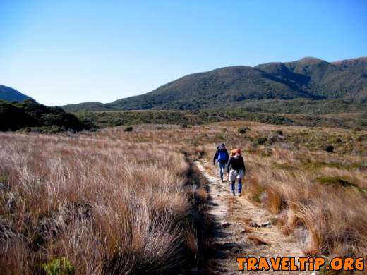 New Zealand - West Coast - The Heaphy Track - 