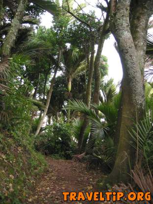 New Zealand - West Coast - The Heaphy Track - 