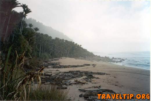 New Zealand - West Coast - The Heaphy Track - 