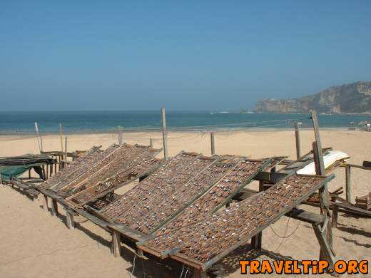 Portugal - Leiria - Nazaré - 