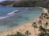 United States of America - Hawaii - Hanauma Bay - 