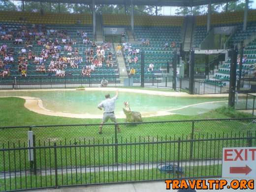 Australia - Queensland - Australia Zoo - Home of the Crocodile Hunter - Feeding time...