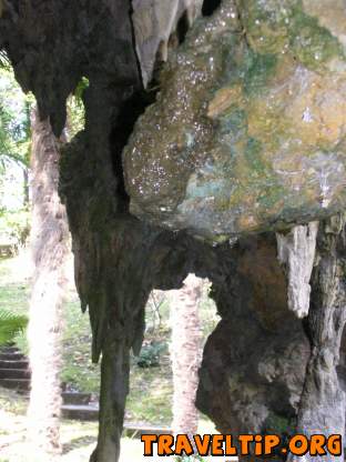 Spain - Cantabria - Picos de Europa - in aieta garden 