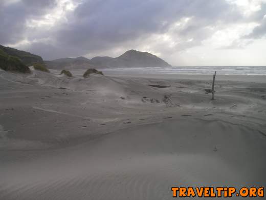 New Zealand - Nelson - Wharariki beach - Sand dunes - Wharariki beach 
