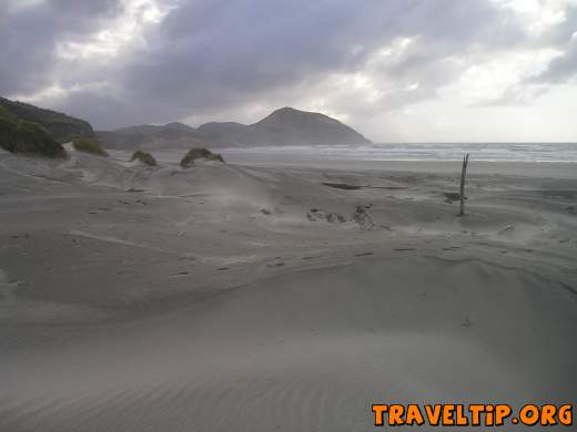 New Zealand - Nelson - Wharariki beach - Sand dunes - Wharariki beach 
