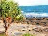 Australia - New South Wales - Sydney Harbour Bridge - Convent Beach at Sunrise