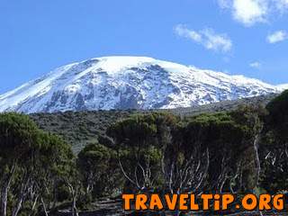 Tanzania - Kilimanjaro - Conservation of Mount Kilimanjaro Environment - Mount Kilimanjaro National Park.
Mount Kilimanjaro snow attract people to climb it to the top to see the snow by naked 
eyes.
Kilimanjaro trekking is through 6 different routes to the top