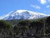 Tanzania - Kilimanjaro - Conservation of Mount Kilimanjaro Environment - Mount Kilimanjaro National Park.
Mount Kilimanjaro snow attract people to climb it to the top to see the snow by naked 
eyes.
Kilimanjaro trekking is through 6 different routes to the top