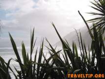 New Zealand - West Coast - The Heaphy Track