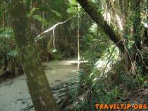 Australia - Queensland - Fraser Island