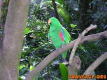 Australia - Queensland - Australia Zoo - Home of the Crocodile Hunter