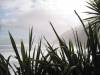 New Zealand - West Coast - The Heaphy Track - 