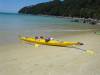 New Zealand - Nelson - Abel Tasman National Park - 