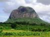 Australia - Queensland - Chenrezig Institute for Buddhist Study and Retreat - One of the Glasshouse mountains: a spectacular natural phenomenon not far from 
Chenrezig. 