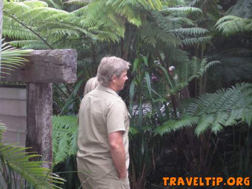 Australia - Queensland - Australia Zoo - Home of the Crocodile Hunter - Cricky! Is that Steve Irwin?