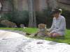 Australia - Queensland - Australia Zoo - Home of the Crocodile Hunter - 