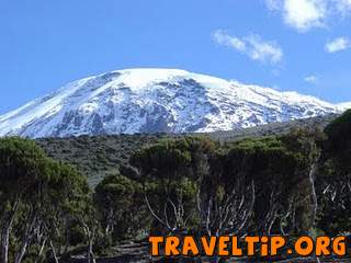 Tanzania - Kilimanjaro - Conservation of Mount Kilimanjaro Environment - Mount Kilimanjaro National Park.
Mount Kilimanjaro snow attract people to climb it to the top to see the snow by naked 
eyes.
Kilimanjaro trekking is through 6 different routes to the top