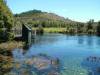 New Zealand - Nelson - The Te Waikoropupu Springs ('Pupu Springs') - 